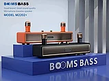 Караоке система для дома BOOMSBASS M2202+ с 2 микрофонами, фото 7