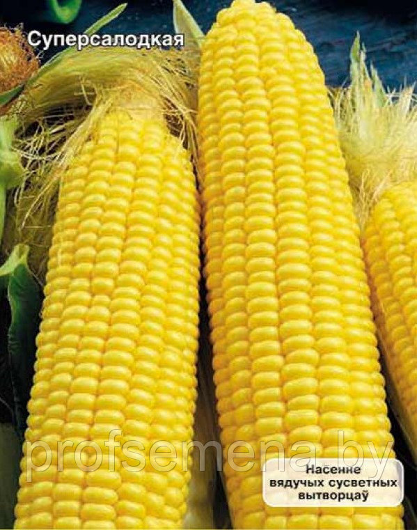 Кукуруза ГСС 3071 сахарная, семена , 2гр., (мссо) - фото 1 - id-p222151466