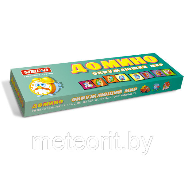 Домино №6 "Окружающий мир"