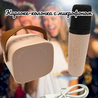 Караоке-колонка с микрофоном Colorful karaoke sound system (звуковые эффекты) Розовый