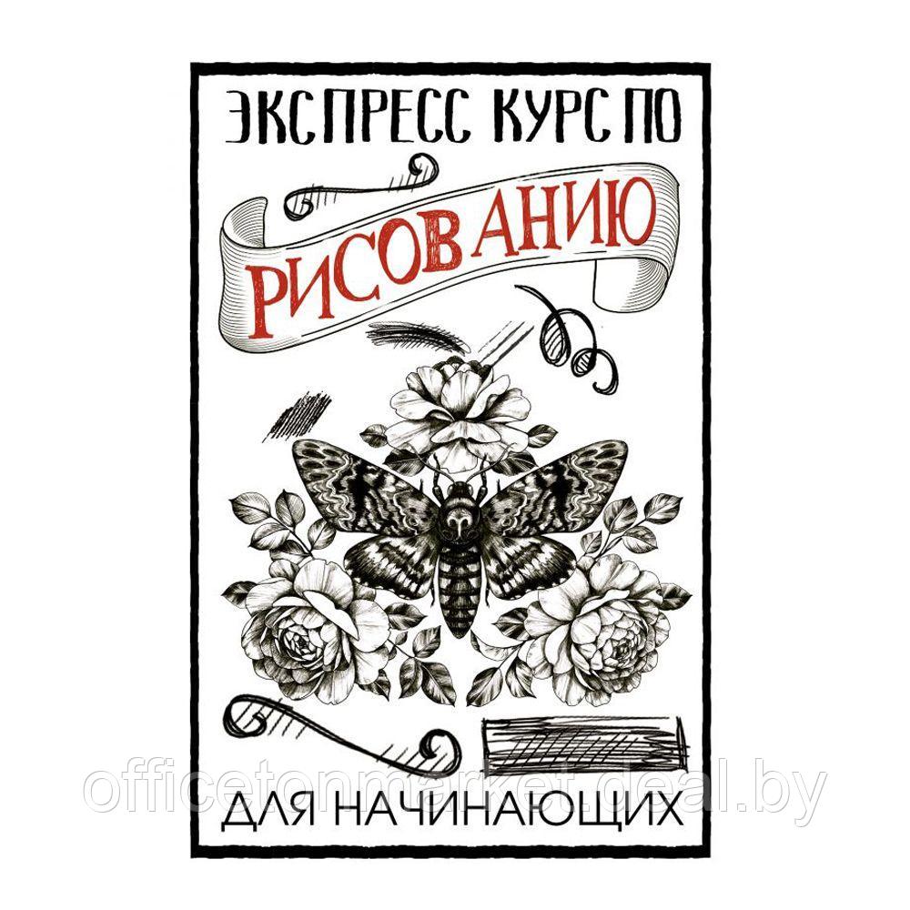 Книга "Экспресс курс по рисованию для начинающих", Грей М. - фото 1 - id-p222196365