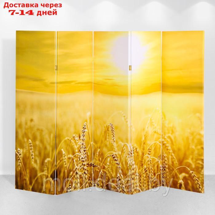 Ширма "Пшеничное поле", 250 х 160 см - фото 2 - id-p222168098