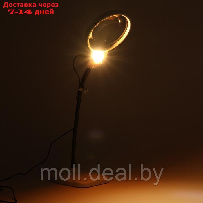 Лупа настольная, линза 115,25мм, подсветка - фото 4 - id-p222195220
