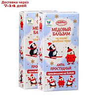 Новогодний медовый бальзам алтайский "Анти-простудный", 2 шт по 250 мл