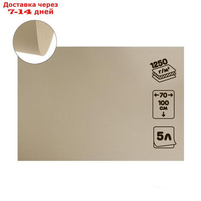 Картон переплетный 2.0 мм, 70*100 см, 5 листов, 1250 г/м², серый