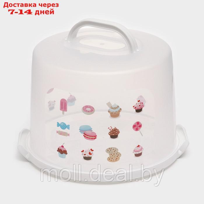Блюдо для торта и пирожных с крышкой 30,5х21,5 см, цвета МИКС - фото 6 - id-p222194355
