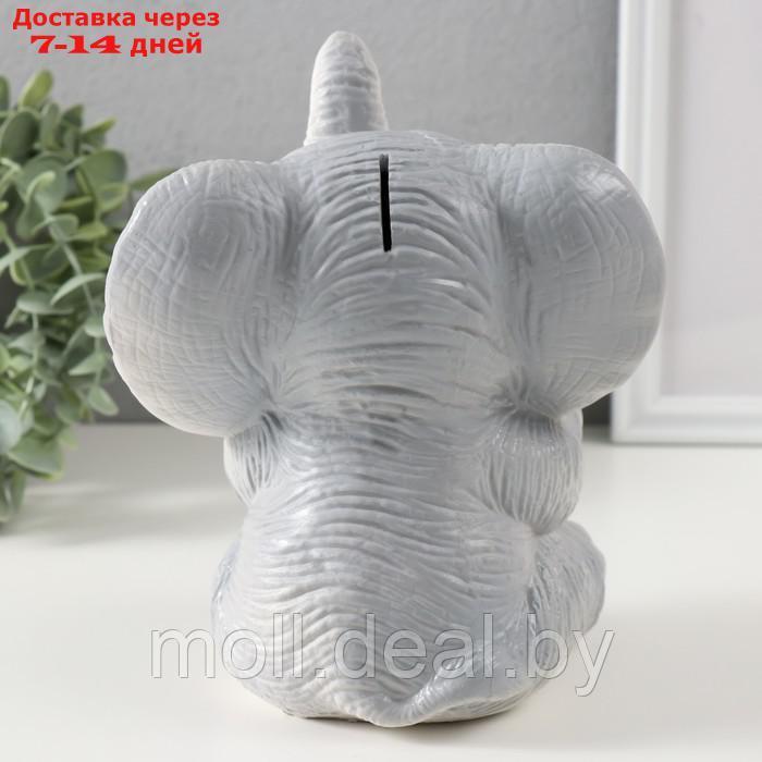 Копилка "Слоненок" серый высота 19 см, ширина 15 см, длина 13 см - фото 3 - id-p222195570