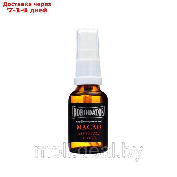 Парфюмированное масло для бороды и усов Borodatos, 25 мл - фото 2 - id-p222171045