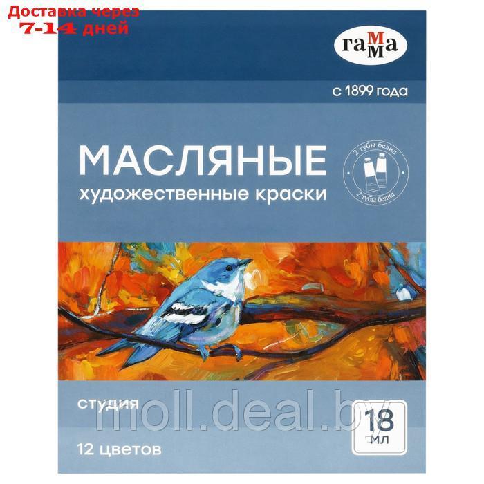 Краска масляная набор в тубах 12цв*18мл Гамма Студия 1218018 - фото 2 - id-p222195631