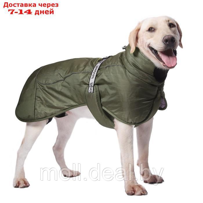 Попона для больших собак, мембранная ткань, размер XL (ДС 35, ОШ 38, ОГ 56-66 см), хаки - фото 3 - id-p222171315