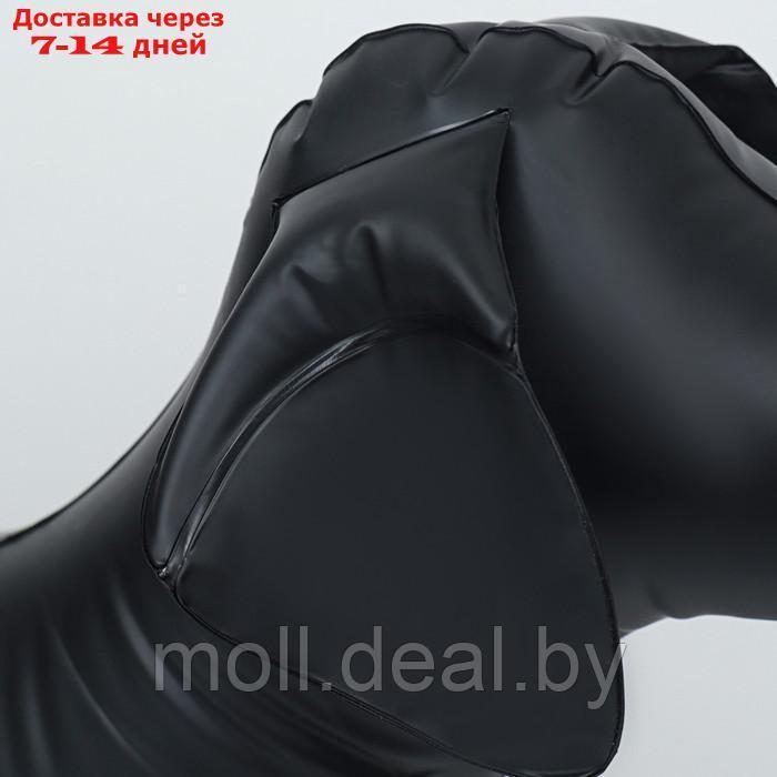 Набор: манекен надувной (чёрный) с насосом ножной (микс) - фото 6 - id-p222195661