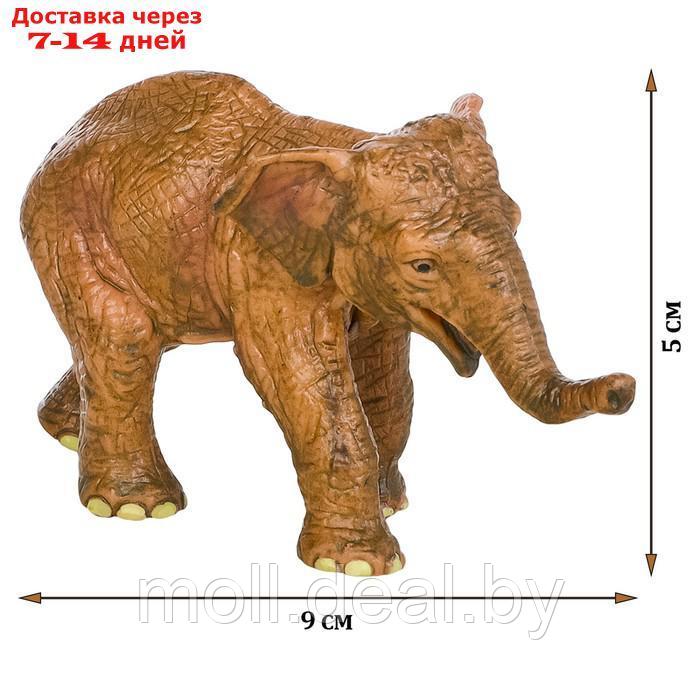 Набор фигурок "Мир диких животных": семья слонов, 2 предмета - фото 2 - id-p222171790
