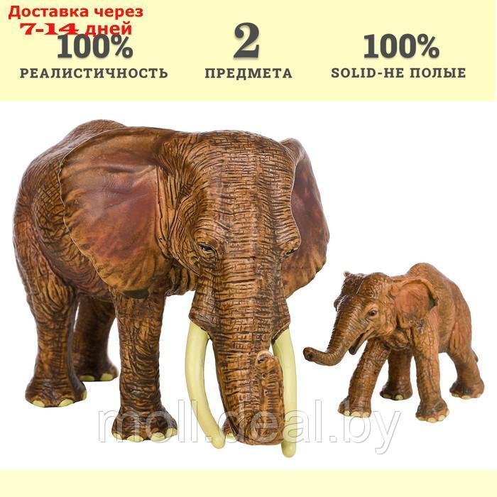Набор фигурок "Мир диких животных": семья слонов, 2 предмета - фото 3 - id-p222171790
