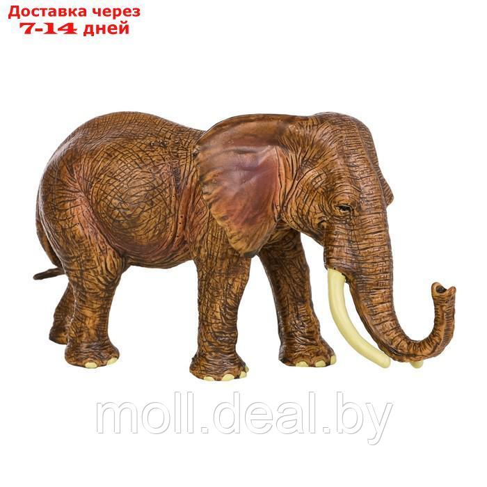 Набор фигурок "Мир диких животных": семья слонов, 2 предмета - фото 4 - id-p222171790
