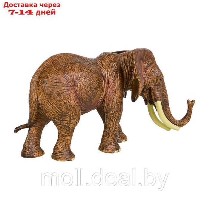 Набор фигурок "Мир диких животных": семья слонов, 2 предмета - фото 6 - id-p222171790