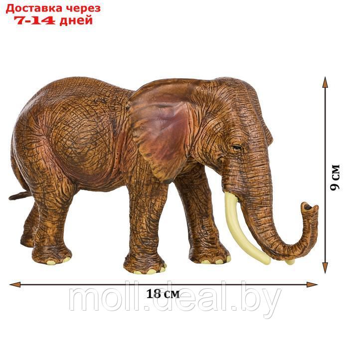 Набор фигурок "Мир диких животных": семья слонов, 2 предмета - фото 7 - id-p222171790