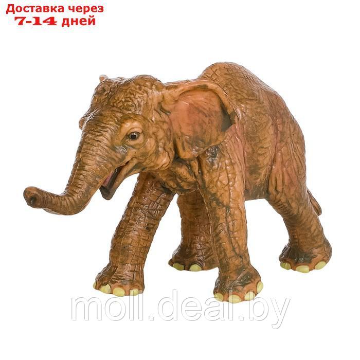 Набор фигурок "Мир диких животных": семья слонов, 2 предмета - фото 8 - id-p222171790