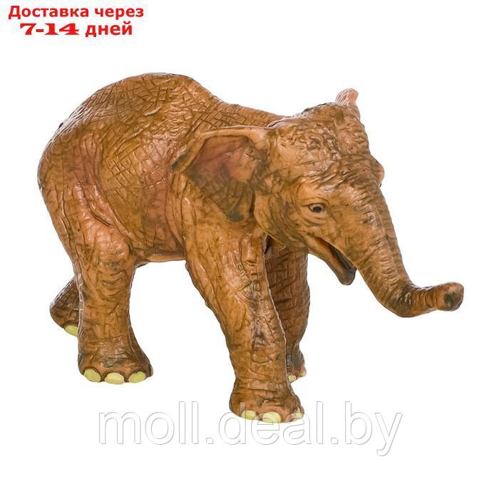 Набор фигурок "Мир диких животных": семья слонов, 2 предмета - фото 9 - id-p222171790