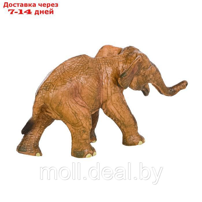 Набор фигурок "Мир диких животных": семья слонов, 2 предмета - фото 10 - id-p222171790