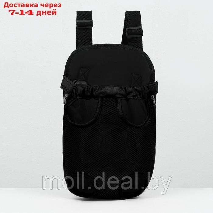 Рюкзак-переноска для животных "Кенгуру", 35 х 25 х 20 см, черный - фото 3 - id-p222179300