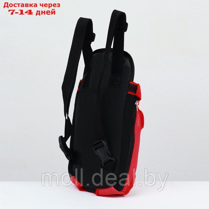 Рюкзак-переноска для животных "Кенгуру", 35 х 25 х 20 см, красный - фото 4 - id-p222179304