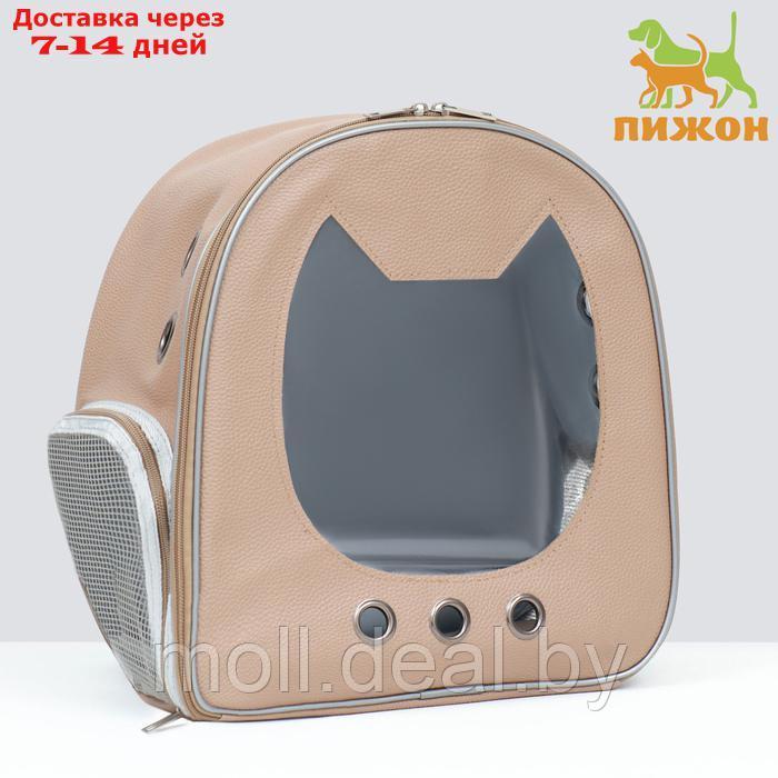 Рюкзак для переноски "Котик", прозрачный, 32 х 21 х 35 см, бежевый - фото 1 - id-p222194800