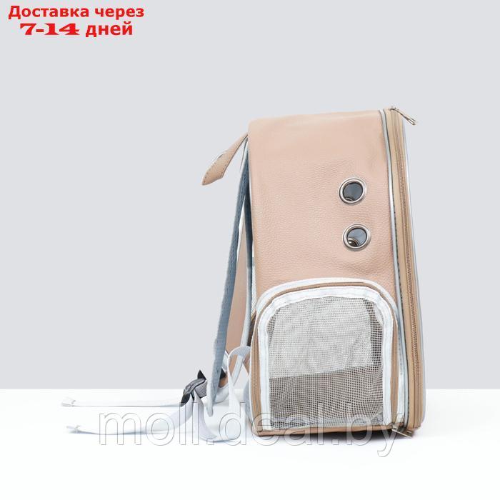 Рюкзак для переноски "Котик", прозрачный, 32 х 21 х 35 см, бежевый - фото 4 - id-p222194800