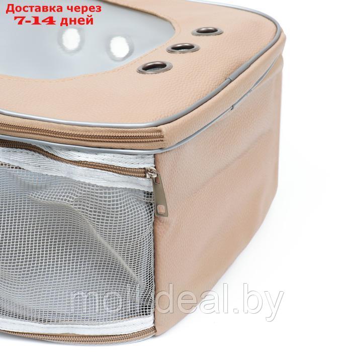 Рюкзак для переноски "Котик", прозрачный, 32 х 21 х 35 см, бежевый - фото 10 - id-p222194800