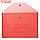 Набор 12 шт. Папка-конверт на кнопке формат А4 180мкр Клетка тонированная красная, фото 2