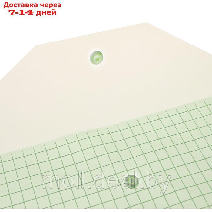 Набор 20 шт. Папка-конверт на кнопке формат А4 120мкр Клетка тонированная зеленая - фото 3 - id-p222195828