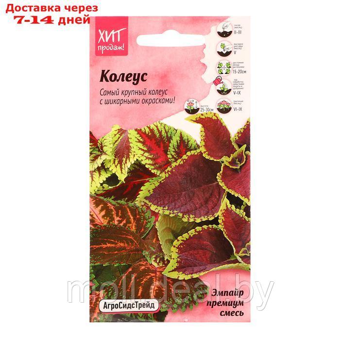 Семена цветов Колеус "Конг эмпайр премиум смесь", 10 шт - фото 1 - id-p222195946