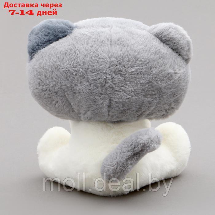 Мягкая игрушка "Котик", 22 см, цвет серый - фото 3 - id-p222194996