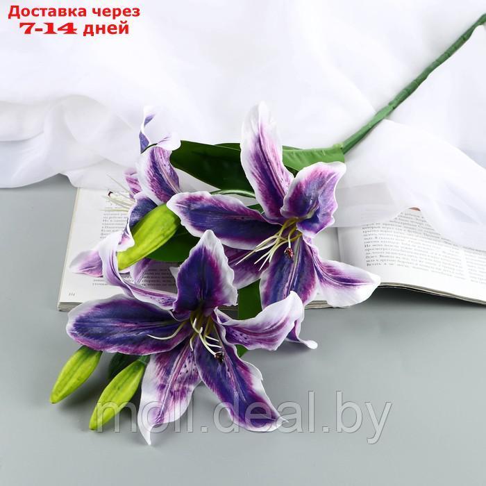 Цветы искусственные "Лилия галант" d-13 см 66 см, фиолетовый - фото 1 - id-p222179627