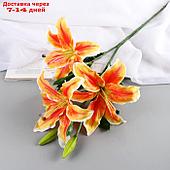 Цветы искусственные "Лилия галант" d-13 см 66 см, оранжево-жёлтый