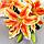 Цветы искусственные "Лилия галант" d-13 см 66 см, оранжево-жёлтый, фото 2