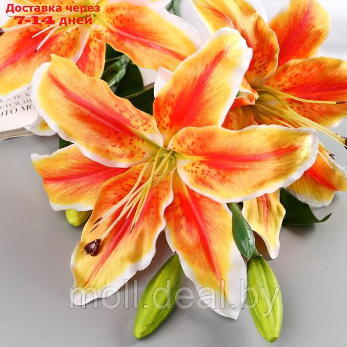 Цветы искусственные "Лилия галант" d-13 см 66 см, оранжево-жёлтый - фото 2 - id-p222179629