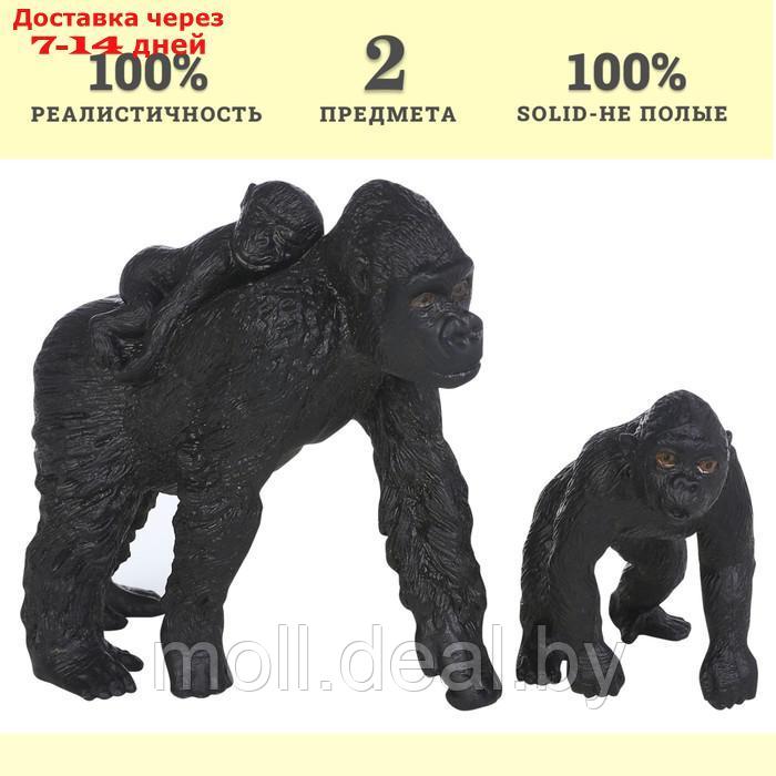 Набор фигурок "Мир диких животных: семья горилл", 2 фигурки - фото 2 - id-p222195116