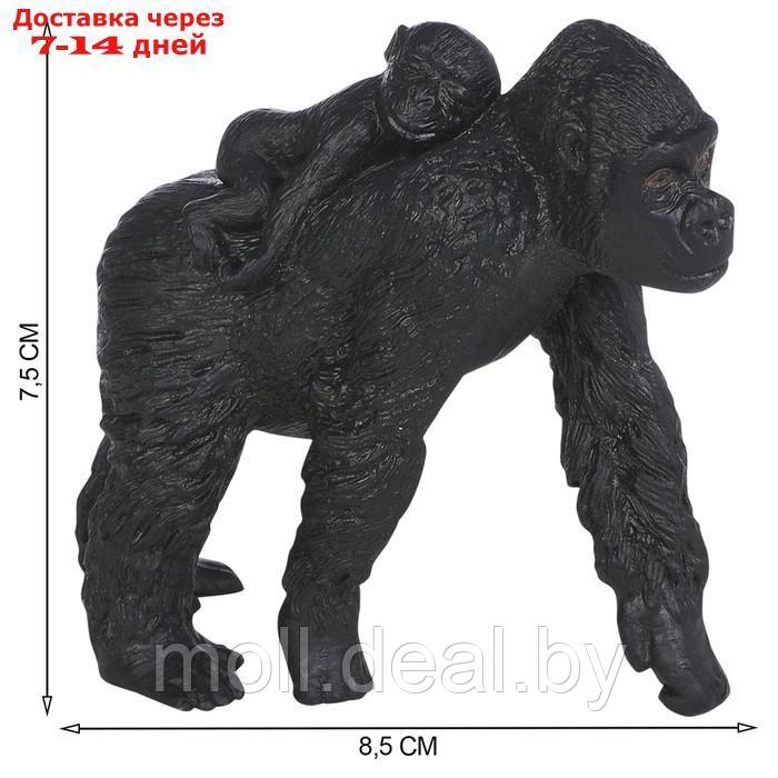 Набор фигурок "Мир диких животных: семья горилл", 2 фигурки - фото 3 - id-p222195116