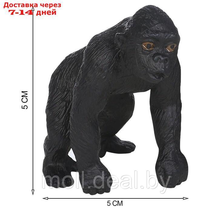 Набор фигурок "Мир диких животных: семья горилл", 2 фигурки - фото 4 - id-p222195116