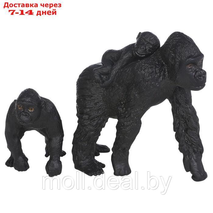 Набор фигурок "Мир диких животных: семья горилл", 2 фигурки - фото 6 - id-p222195116