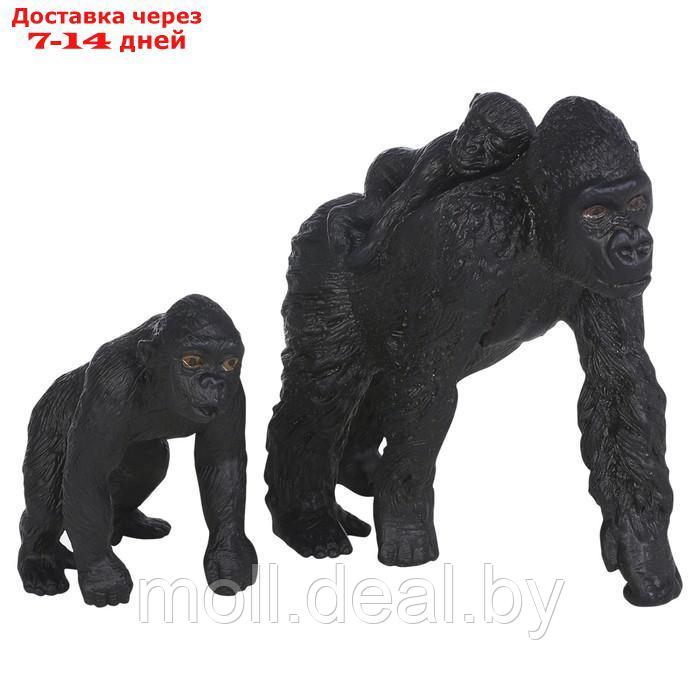 Набор фигурок "Мир диких животных: семья горилл", 2 фигурки - фото 7 - id-p222195116