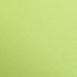 Бумага цветная "Maya", 50x70 см, 270 г/м2, светло-зеленый, фото 2