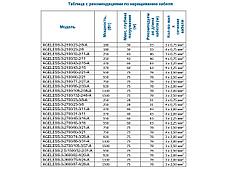 Насос скважинный AGELESS 3-2100/23-2/8-A A&P AP01A01, фото 3