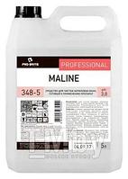 Чистящее средство для сантехники Maline (Малин) 5л 348-5