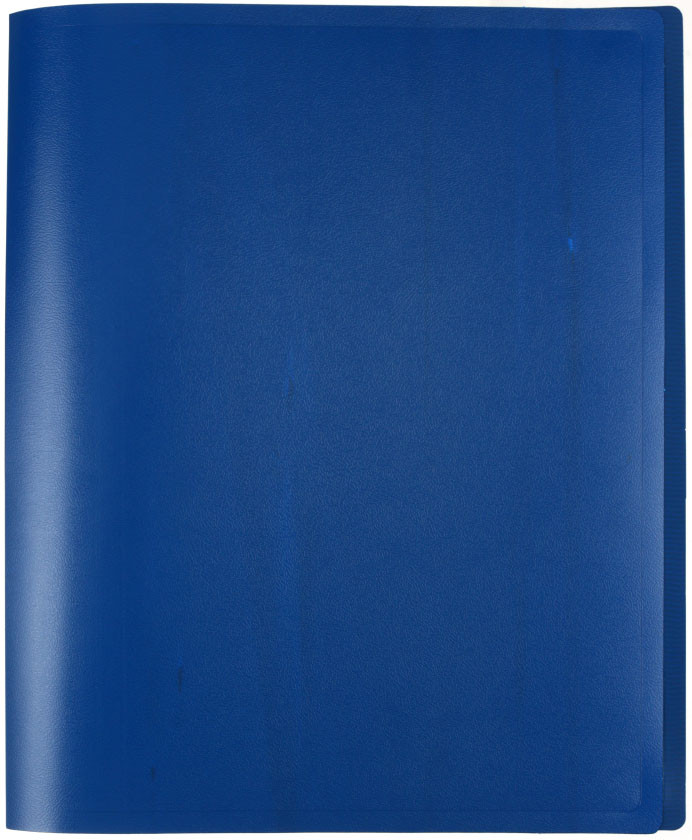 Папка пластиковая на 2-х кольцах Buro толщина пластика 0,4 мм, синяя - фото 3 - id-p222272522