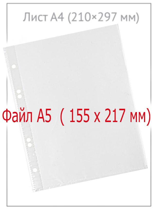 Файл А5 перфорированный «Бюрократ Премиум» 40 мкм, текстурированный, 155*217 мм (до 60 л.) - фото 3 - id-p222272526