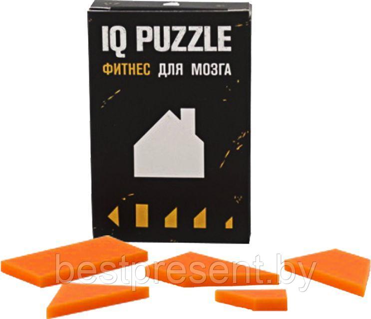 Головоломка IQ Puzzle, домик - фото 1 - id-p222289434