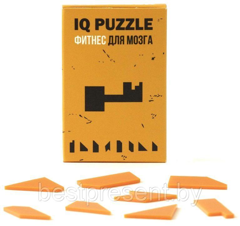 Головоломка IQ Puzzle, ключ - фото 1 - id-p222289436