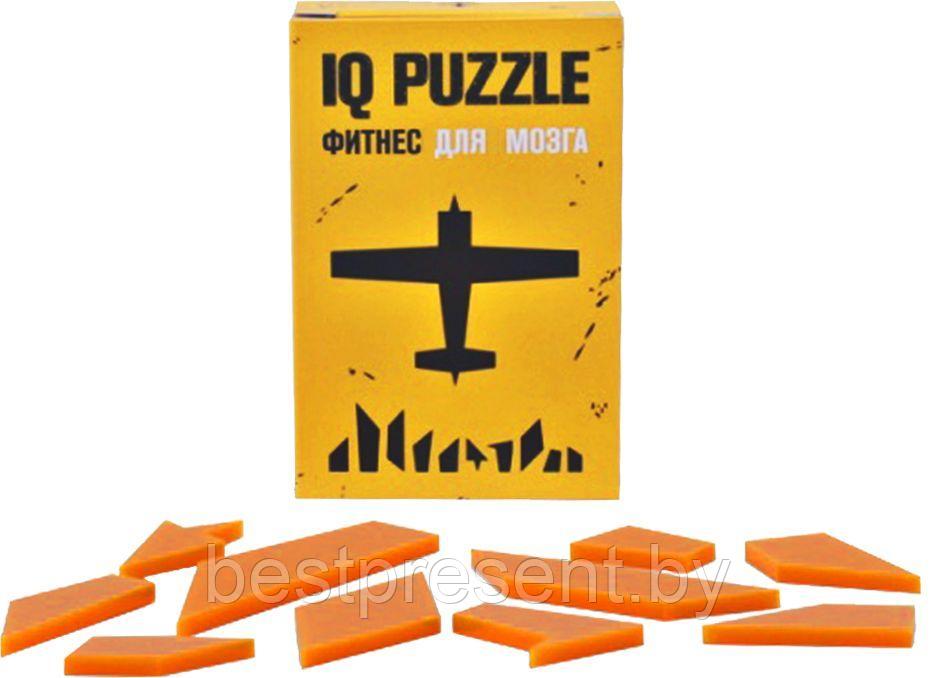 Головоломка IQ Puzzle, самолет - фото 1 - id-p222289439