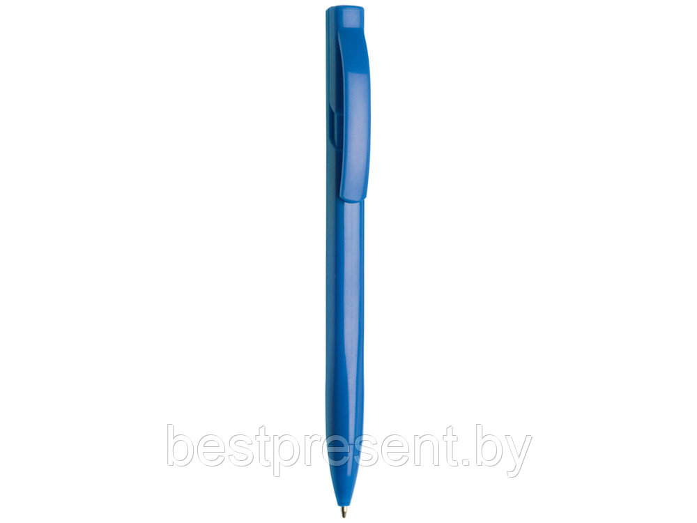 Ручка пластиковая шариковая "Лимбург" - фото 1 - id-p222296117